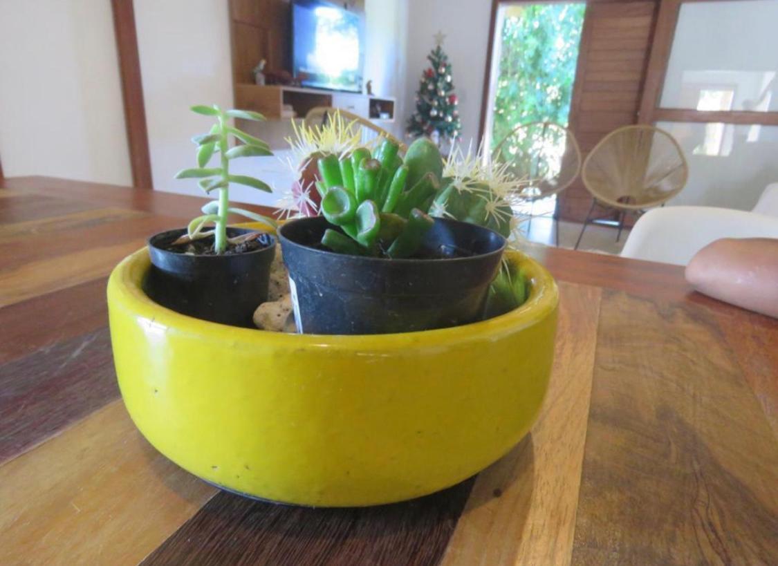 Concept House Caraiva别墅 外观 照片
